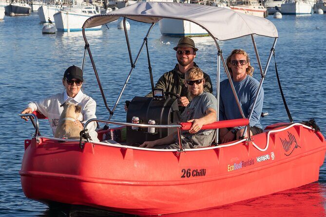 Electric boat Rentals in San Diego Bay. Family friendly boating - Who Should Book This?