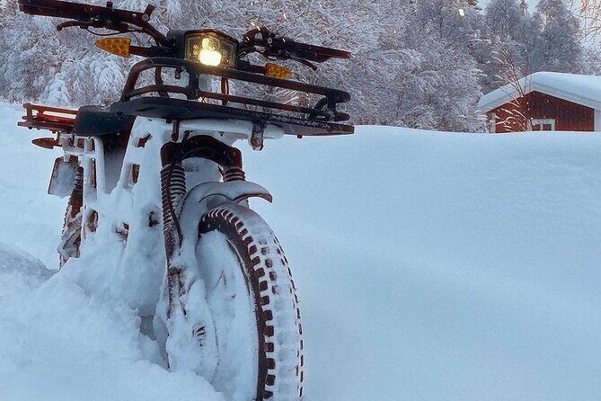 Electric Dirtbike Adventure in Lake Tahoe - An In-Depth Look at the Electric Dirtbike Tour