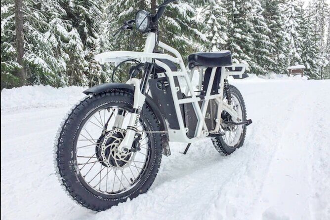 Electric Dirtbike Adventure in Lake Tahoe - The Value of the Electric Dirtbike Experience
