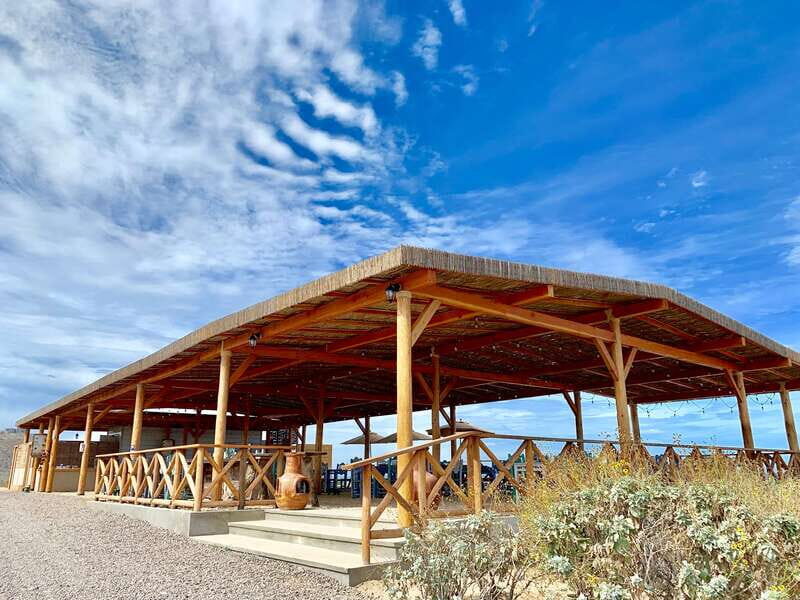 Electric Eco-Bike Beach Adventure with Mexican Lunch - Who Will Love This Tour?