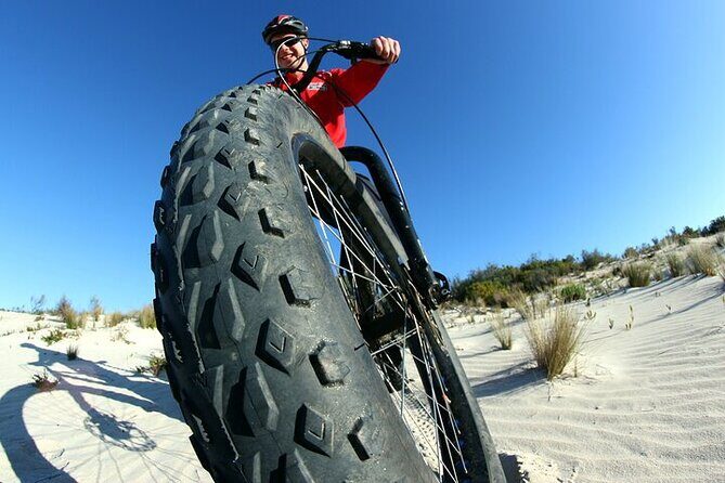 Electric Fat Bike Tour in Kangaroo Island - What Travelers Say: Authentic Perspectives