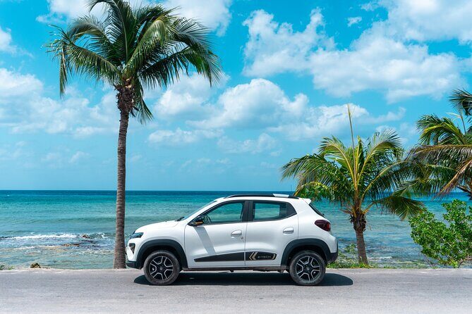 Electric Island Tour with Snorkel, Picnic and Otoch Mayan Experience - Key Points