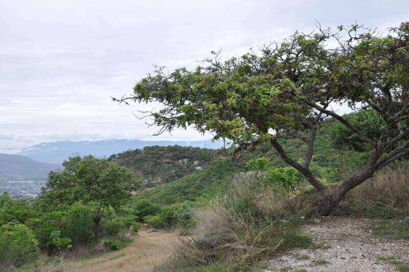 Electric Mountain bike in Oaxaca - The Itinerary in Detail