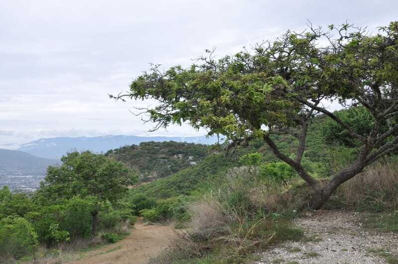 Electric Mountain bike in Oaxaca - What’s Included and What to Bring