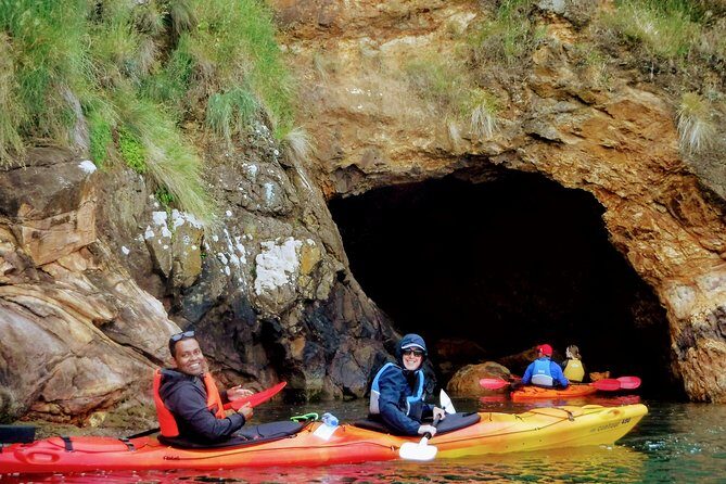 Electric Mountain Bike & Sea Kayak Tour in Akaroa - The Sum Up: A Day Well Spent in Akaroa