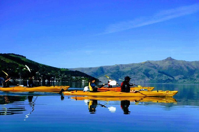 Electric Mountain Bike & Sea Kayak Tour in Akaroa - FAQ