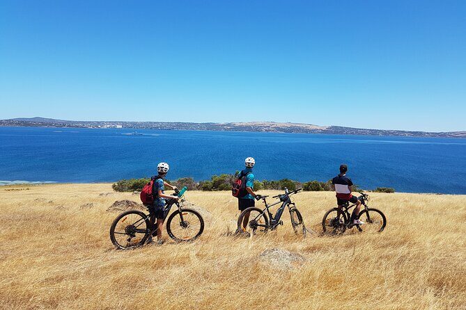 Electric Mountain Bikes Rental in Port Lincoln - An In-Depth Look at the Electric Mountain Bike Rental Experience