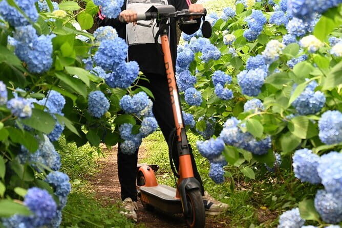 Electric Scooter&Bike Rental in Okinawa - Why Choose Electric Scooter & Bike Rental in Okinawa?