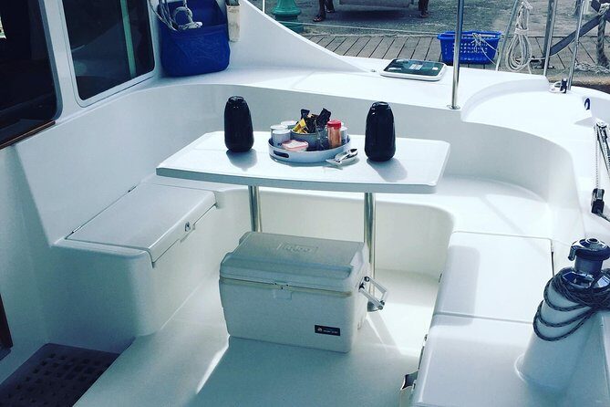 Elegance Catamaran turtles swim and lunch cruise - Key Points