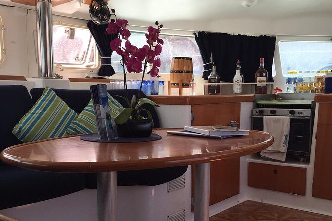 Elegance Catamaran turtles swim and lunch cruise - Final Thoughts: Who Will Love This Tour?