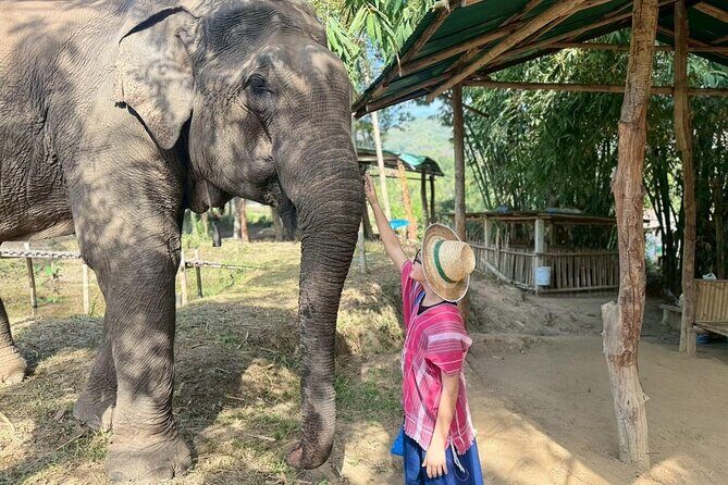 Elephant Care & Bathing Chiang Rai - Starting Point and Transportation