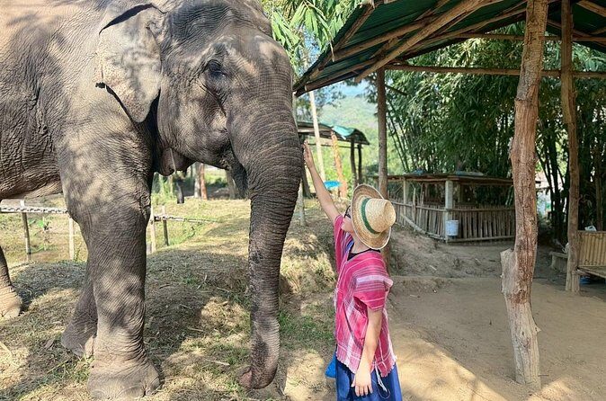 Elephant Care & Bathing Chiang Rai - Tour Practicalities