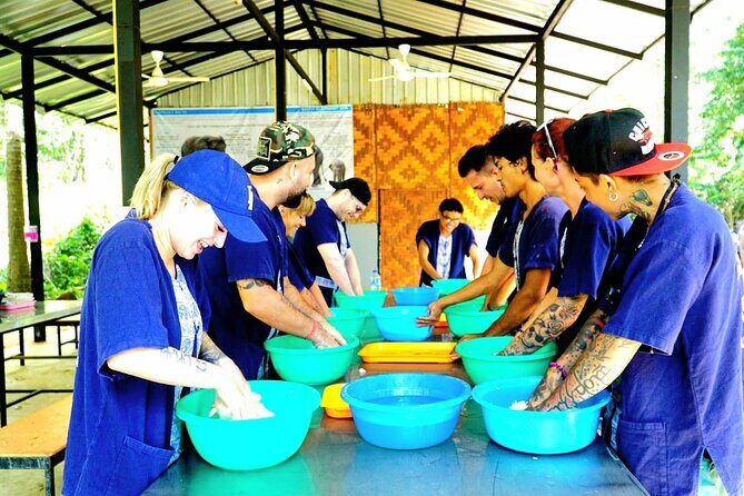 Elephant Care Experience - Detailed Breakdown of the Experience