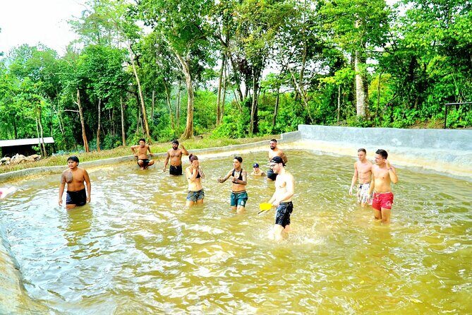 Elephant Care Experience - Who Will Enjoy This Tour?