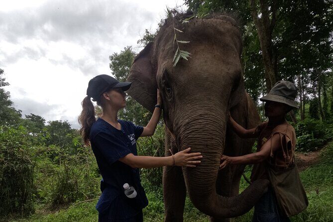 Elephant care program at Chiangmai Elephant Care - Who Should Consider This Tour?