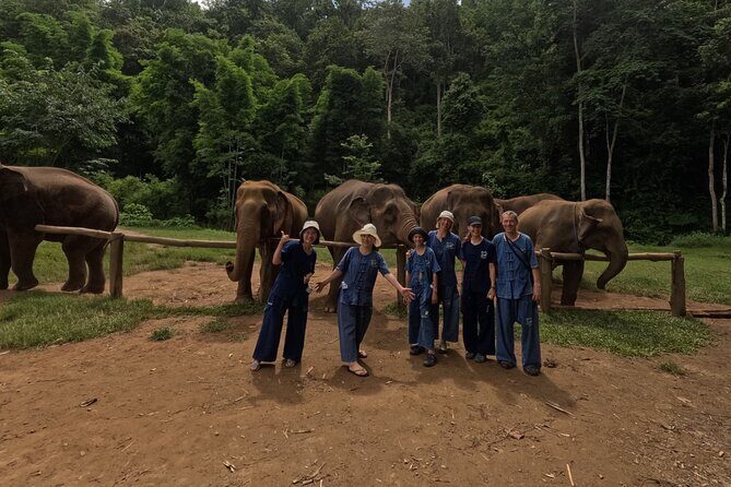 Elephant care program at Chiangmai Elephant Care - Final Thoughts
