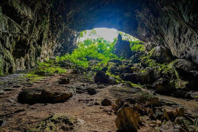 Elephant cave and Mada valley Jungle trek - 1Day - The Itinerary: What You Can Expect