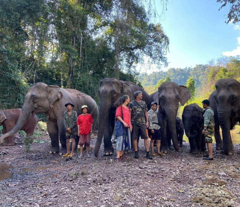 Elephant Home Sanctuary in Muang Thong Sayaboury Laos - Final Thoughts