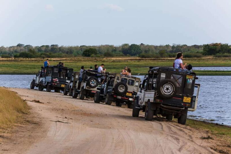 Elephant Jeep Safari at Minneriya National Park - What Sets This Safari Apart