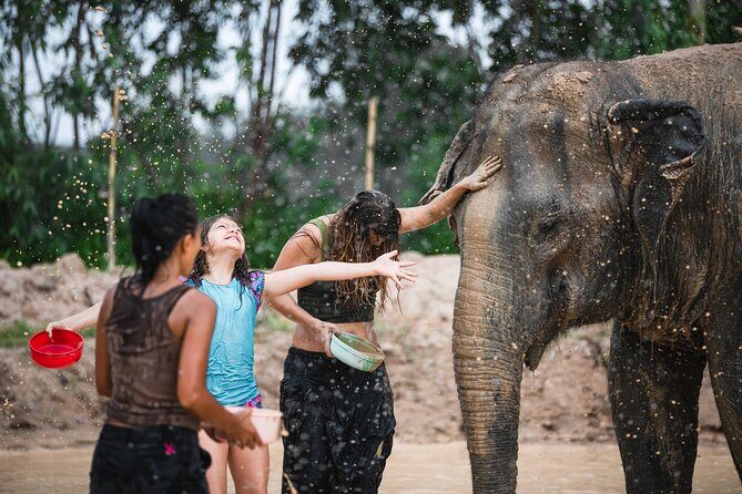 Elephant Jungle Sanctuary: Half Day Morning Program - Who Should Consider This Tour?