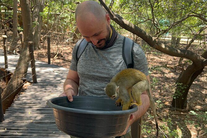 Elephant & Monkey Sanctuary Tour from Johannesburg - What Makes This Tour Valuable?