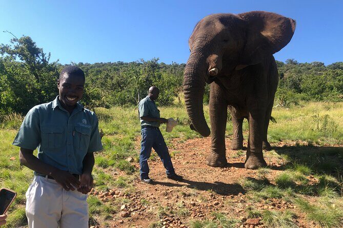 Elephant & Monkey Sanctuary Tour from Johannesburg - FAQ