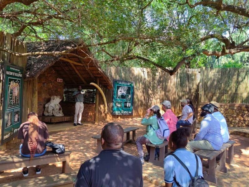 Elephant & Monkey Santuary with Lion Park Tour - Final Thoughts: Is This Tour Right for You?