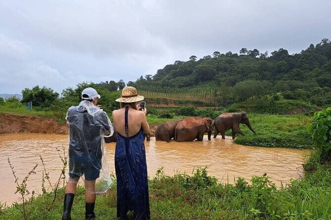 Elephant Nature Experience with Lunch at Bukit Elephant Park - An Honest Look at the Experience