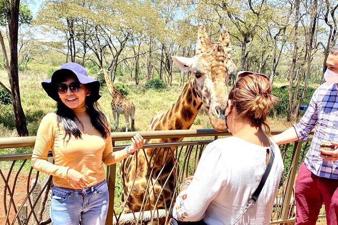 Elephant Orphanage and Giraffe Center Nairobi Day Tour - Practical Considerations