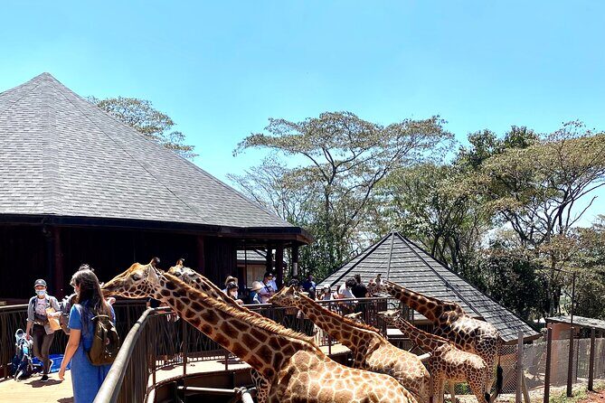 Elephant Orphanage and Giraffe Center Nairobi Day Tour - FAQ