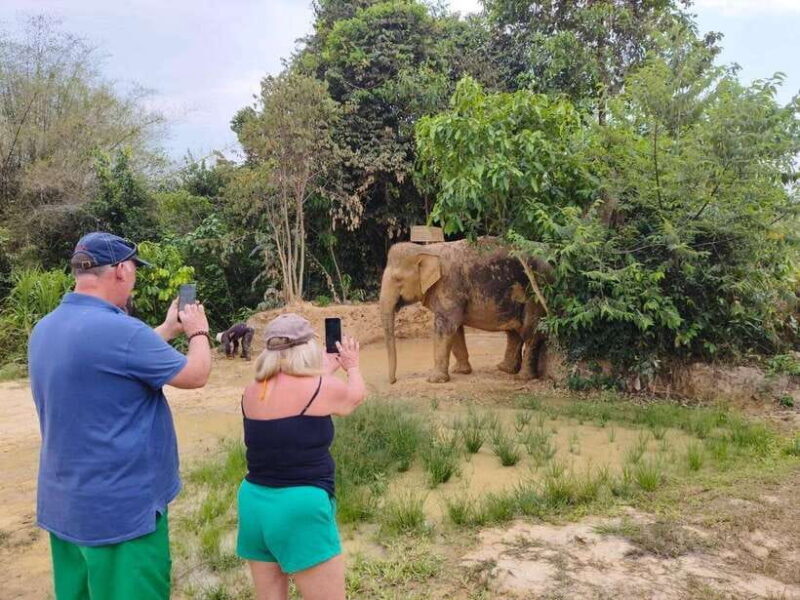 Elephant Sanctuary Cambodia, Pickup and drop off included - Frequently Asked Questions