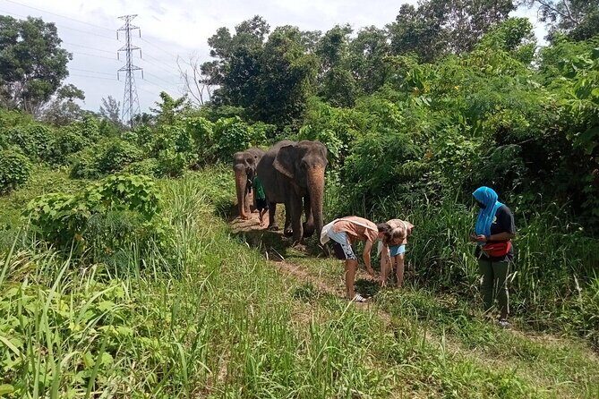 Elephant Sanctuary Small Group Tour in Phuket - Who Will Love This Tour?