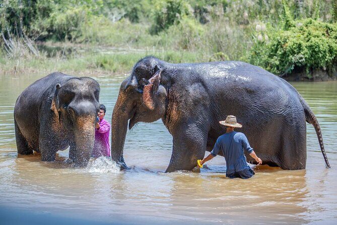 Elephant Sanctuary Small Group Tour in Phuket - FAQs