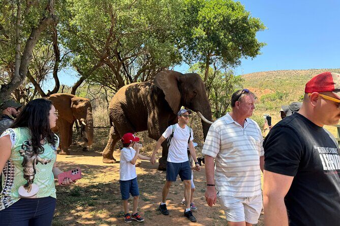 Elephant Sanctuary Tour from Johannesburg - The Sum Up: Why This Tour Matters