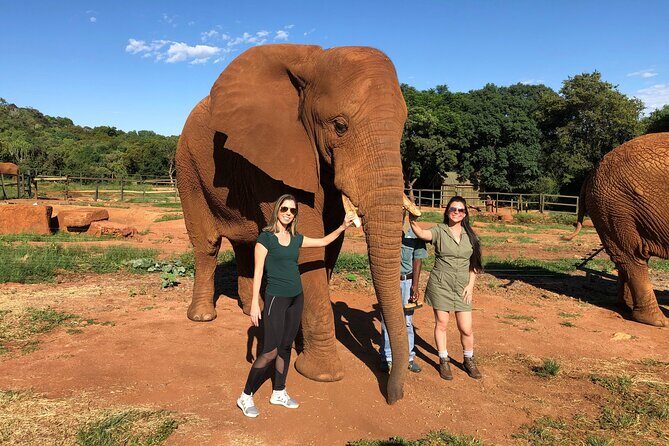 Elephant Sanctuary Tour from Johannesburg - FAQs