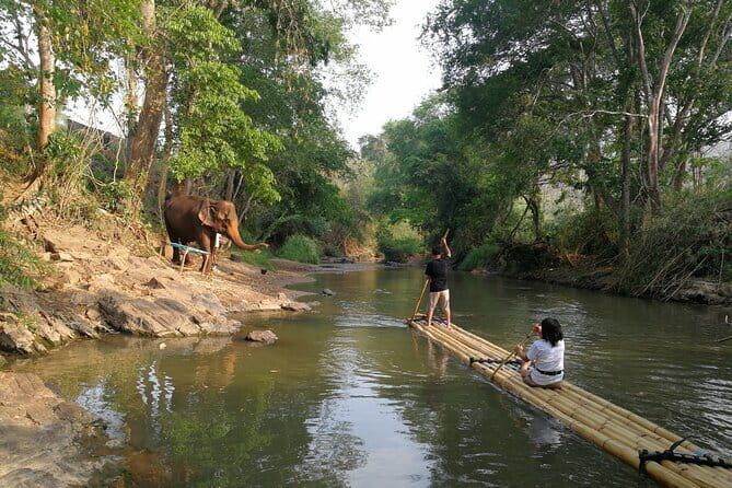 Elephant Sanctuary + Waterfall + Bamboo Rafting One Day Trip - Who Would Enjoy This Tour?