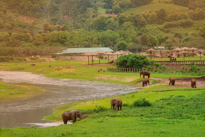 Elephant Sanctuary + Waterfall + Bamboo Rafting One Day Trip - Key Points