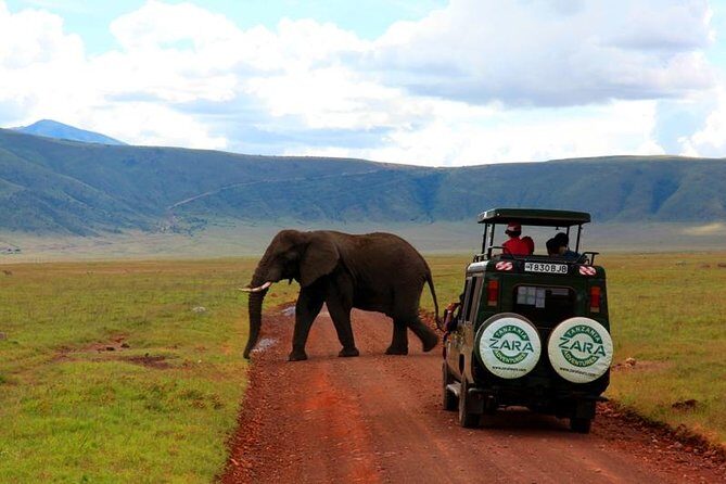Elephant Special Serengeti & Ngorongoro Crater 5 Days / 4 Nights - The 5-Day Itinerary in Detail