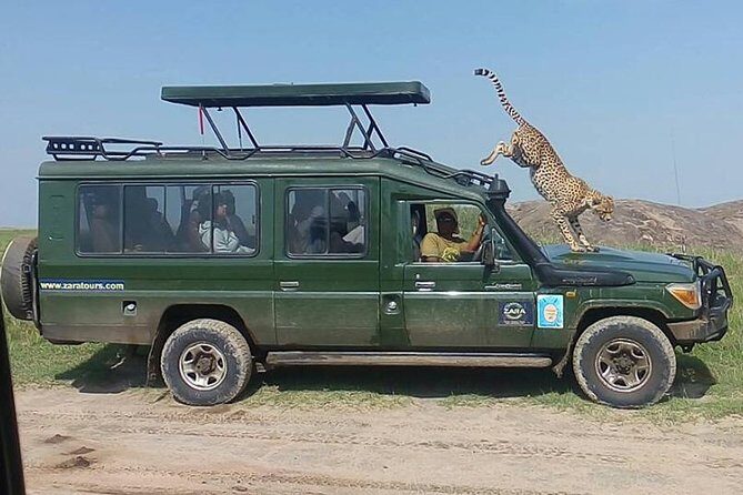 Elephant Special Serengeti & Ngorongoro Crater 5 Days / 4 Nights - Why This Tour Offers Great Value