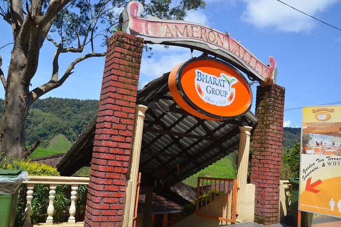 Elevate Your Senses: A Day of Wonders in Cameron Highlands! - Final Thoughts