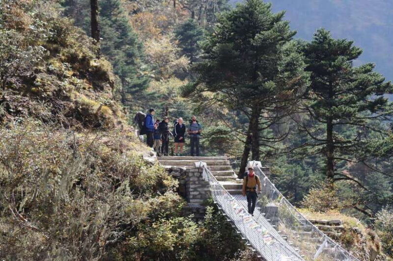 Elevate Your Spirit: A Day Hike through Shivapuri's Splendor - An In-Depth Look at the Shivapuri Day Hike