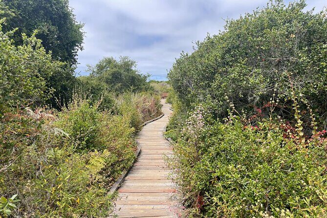 Elfin Forest Nature Tour with Local Sweet and Savory Tasting - Exploring the Elfin Forest with a Tasty Twist: A Practical Review