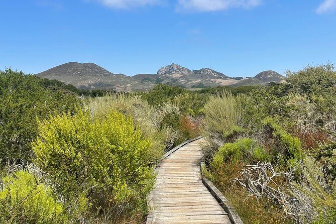 Elfin Forest Nature Tour with Local Sweet and Savory Tasting - Who Should Consider This Tour?