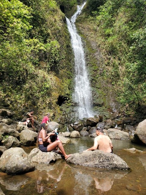 Elf's Highly Customized Private Tours ... O'ahu, Hawai'i - Final Thoughts: Who Is This Tour Perfect For?