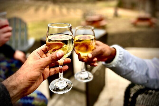 Elijay Hike w/ Waterfall & Wine Tasting Private Tour from ATL - Exploring North Georgia: A Well-Balanced Day of Hiking, Wine, and Small-Town Charm