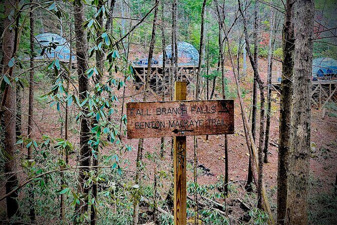 Elijay Hike w/ Waterfall & Wine Tasting Private Tour from ATL - Who Should Consider This Tour?