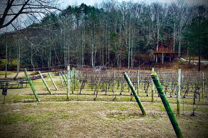 Elijay Hike w/ Waterfall & Wine Tasting Private Tour from ATL - FAQs