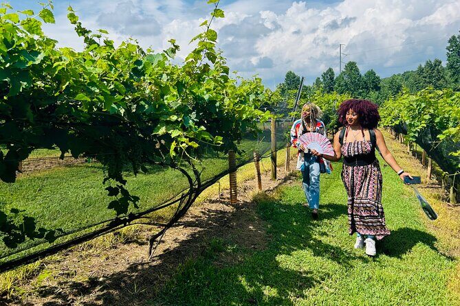 Elijay Three Vineyards Private Wine Tasting Tour from Atlanta - Key Points