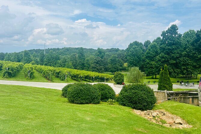Elijay Three Vineyards Private Wine Tasting Tour from Atlanta - The Itinerary in Detail