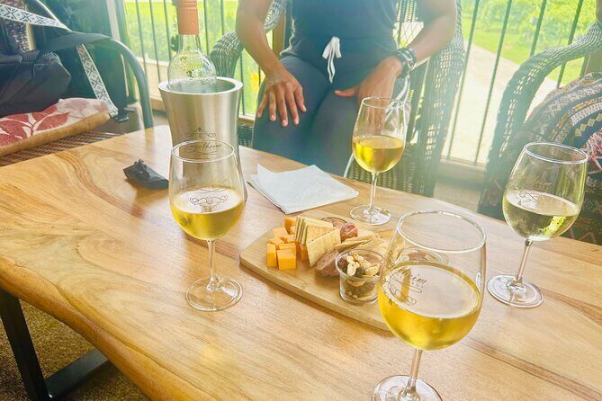 Elijay Three Vineyards Private Wine Tasting Tour from Atlanta - Who Should Consider This Tour?